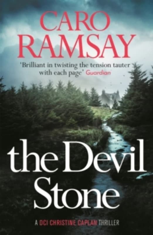 The Devil Stone Paperback / softback
