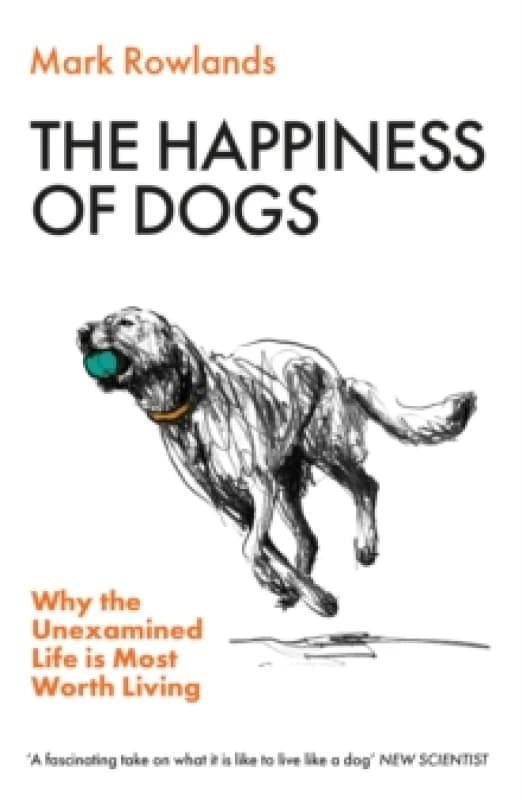 The Happiness of Dogs : Why the Unexamined Life Is Most Worth Living Paperback / softback