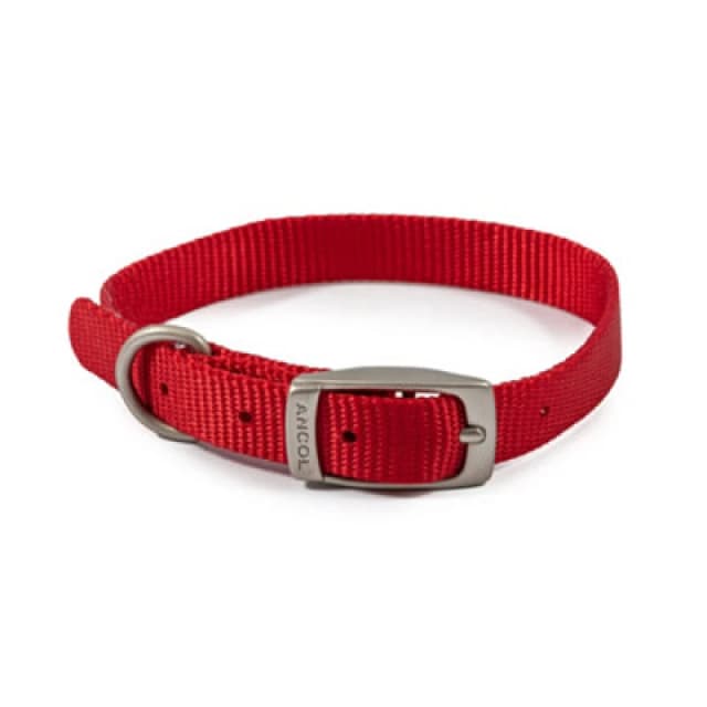 Ancol Viva Weather Proof Lightweight Comfy Buckle Dog Collar Red