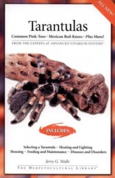 Tarantulas by Jerry G. Walls Paperback