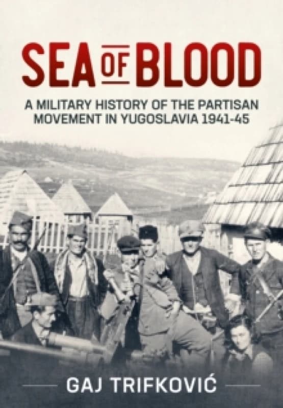 Sea of Blood : A Military History of the Partisan Movement in Yugoslavia 1941-45 Paperback / softback