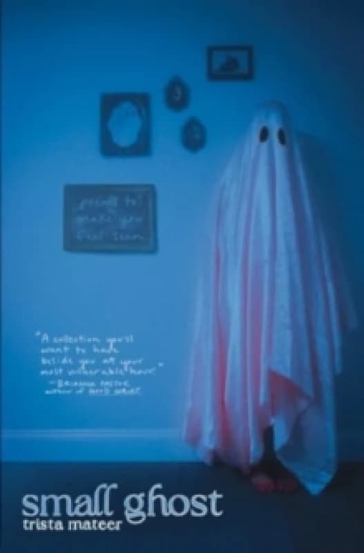 Small Ghost Paperback / softback