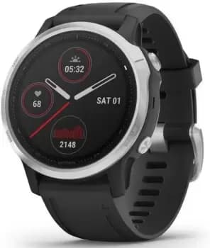 Garmin Watch Fenix 6S Silver With Black Band - Black