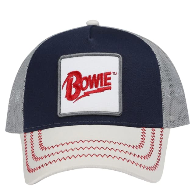 Amplified Womens David Bowie Trucker Cap in Grey Grey Female One Size