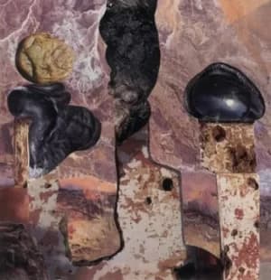 Finish Him by Liam Singer CD Album