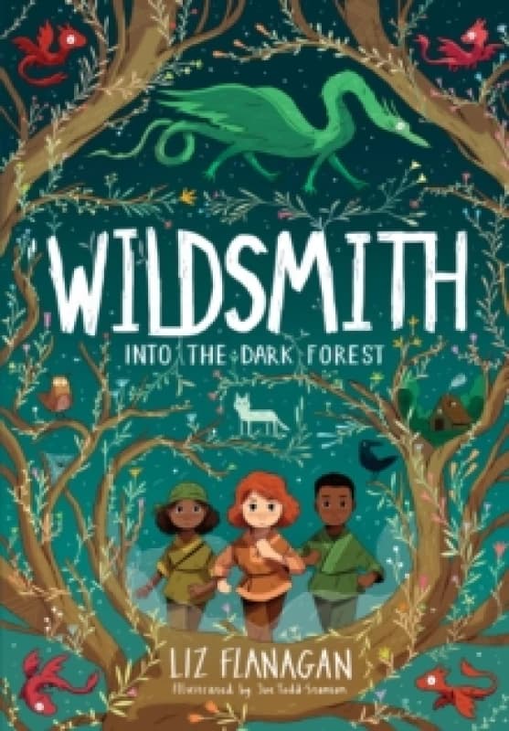 Into the Dark Forest : The Wildsmith #1 Paperback / softback