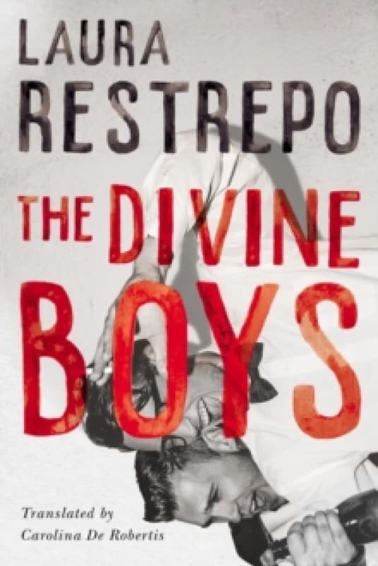 The Divine Boys Paperback / softback