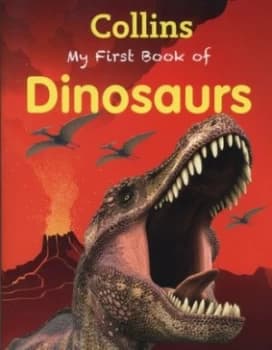 My First Book of Dinosaurs Paperback