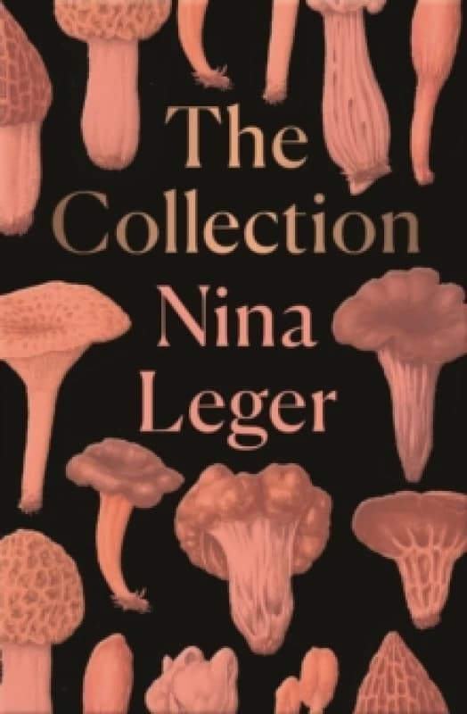 The Collection Paperback / softback