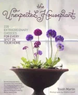 unexpected houseplant 220 extraordinary choices for every spot in your home