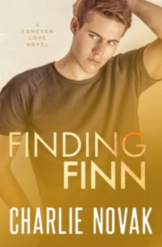 Finding Finn Paperback / softback