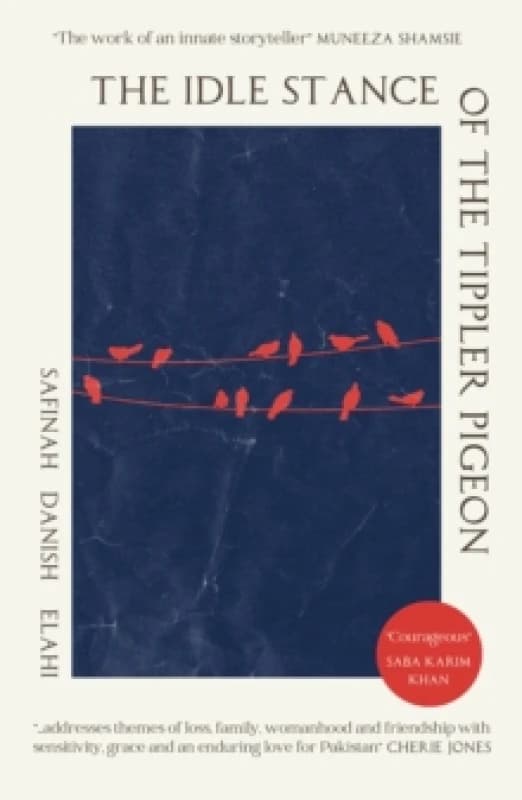The Idle Stance of the Tippler Pigeon Paperback / softback