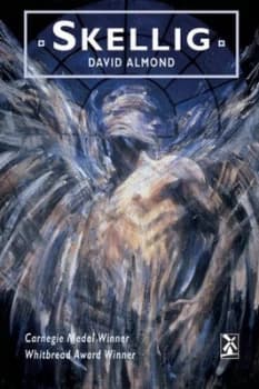 Skellig by David Almond Hardback