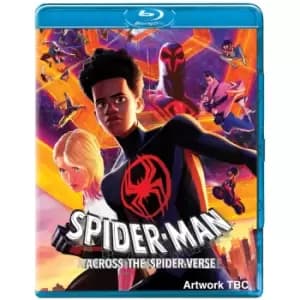 Spider-Man: Across The Spider-Verse