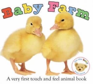 Baby Farm Hardback
