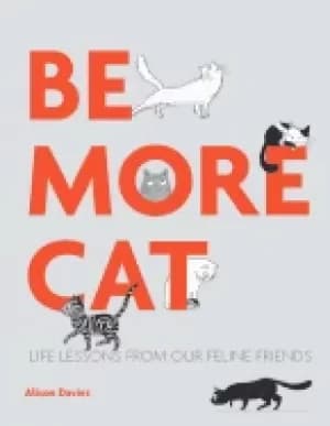 be more cat life lessons from our feline friends