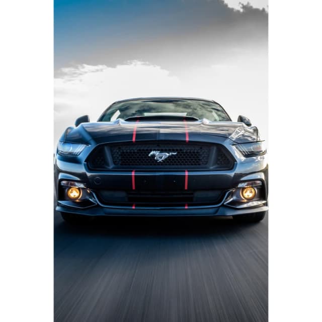 Activity Superstore Ford Mustang Blast - None None One Size