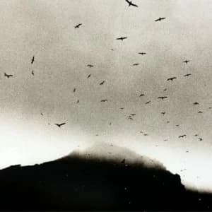 If Wishes Were Horses by Kris Drever CD Album