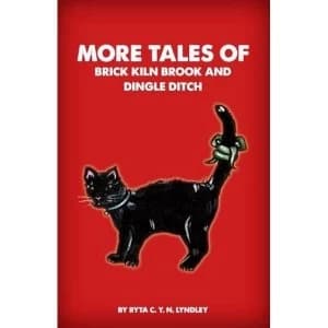 More Tales of Brick Kiln Brook and Dingle Ditch by Ryta Lyndley (Paperback, 2011)