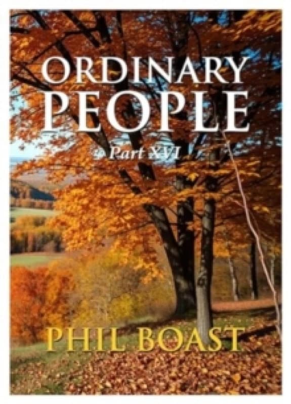 Ordinary People XVI Paperback / softback