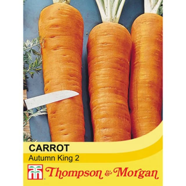 Thompson & Morgan Carrot Autumn King 2 1 Seed Packet (1500 Seeds)