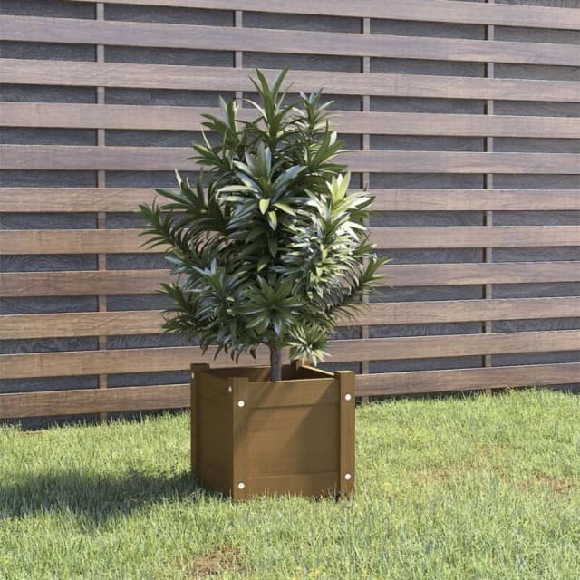VIDAXL Vidaxl - Garden Planter Honey Brown 31x31x31cm Solid Pinewood 8720286773147