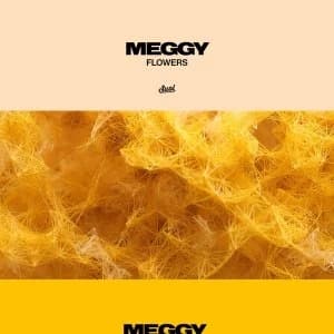 Meggy - Flowers EP Vinyl