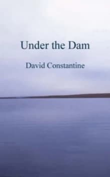 Under the Dam by David Constantine Paperback