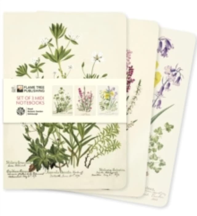 Royal Botanic Garden Edinburgh Set of 3 Midi Notebooks Notebook / blank book