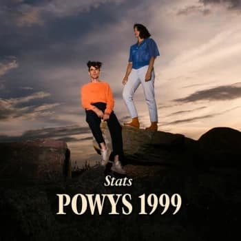 Stats - Powys 1999 Vinyl