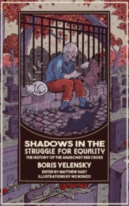 Shadows in the Struggle for Equality Paperback / softback