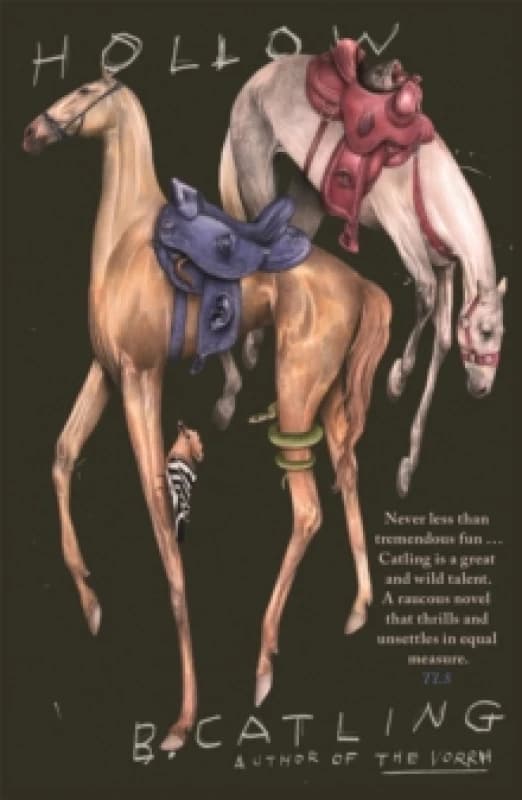 Hollow Paperback / softback