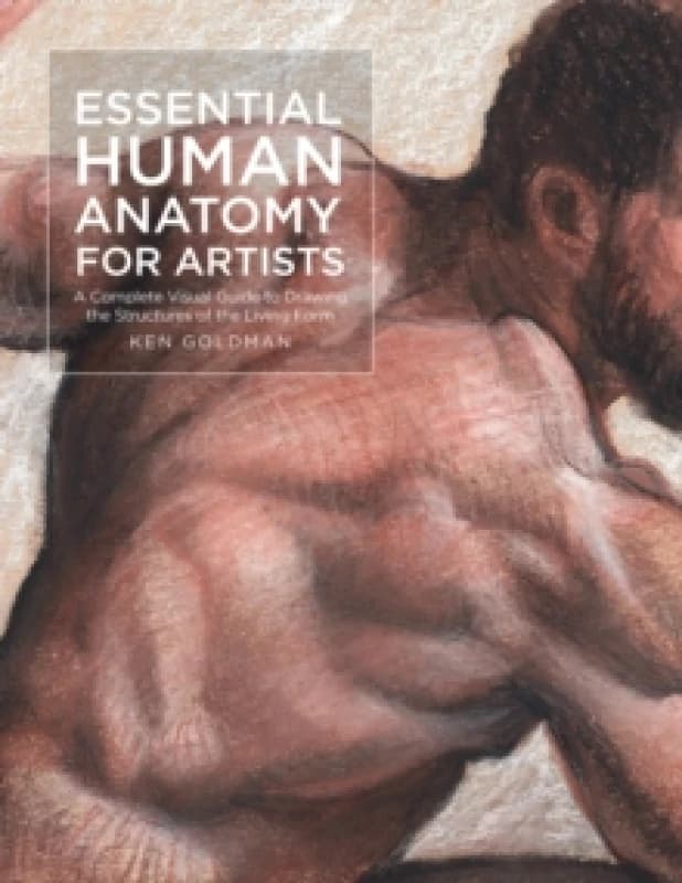 Essential Human Anatomy for Artists : A Complete Visual Guide to Drawing the Structures of the Living Form Volume 9 Paperback / softback