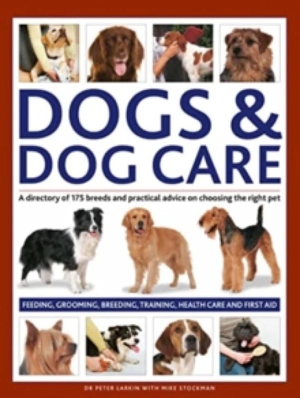 Dogs & Dog Care. Hardback. By Peter Larkin, Mike Stockman Books