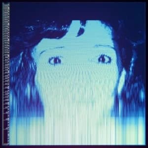 We Will Always Love You by The Avalanches CD Album