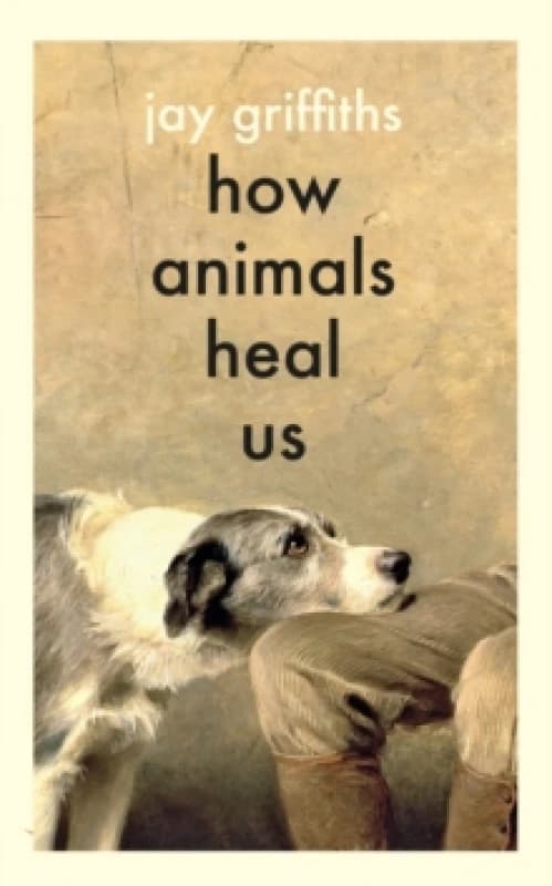 How Animals Heal Us. Hardback. By Jay Griffiths Books