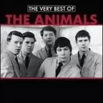 very best of the animals