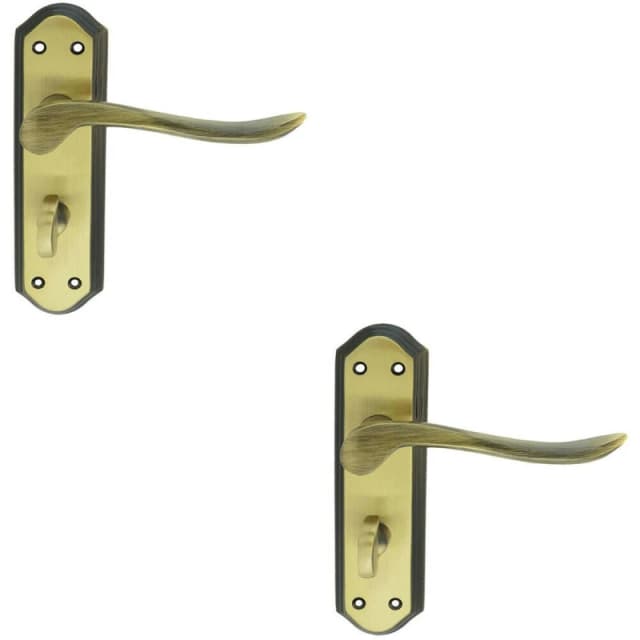 Loops 2x PAIR Curved Lever on Sculpted Bathroom Backplate 180 x 48mm Florentine Bronze Multi