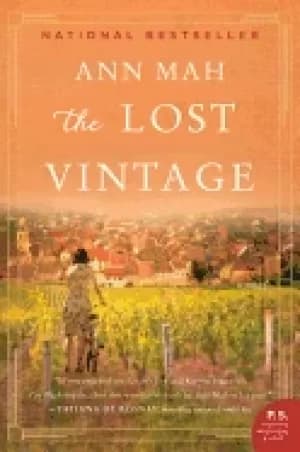 lost vintage a novel