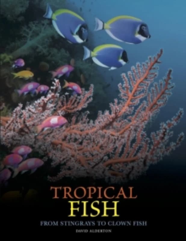 Tropical Fish : From Stingrays to Clown Fish Hardback