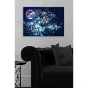 510249208-5070 Multicolor Decorative Canvas Painting