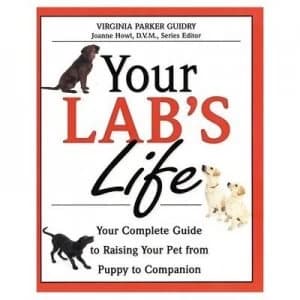 Your Labs Life by Virginia Parker Guidry Paperback