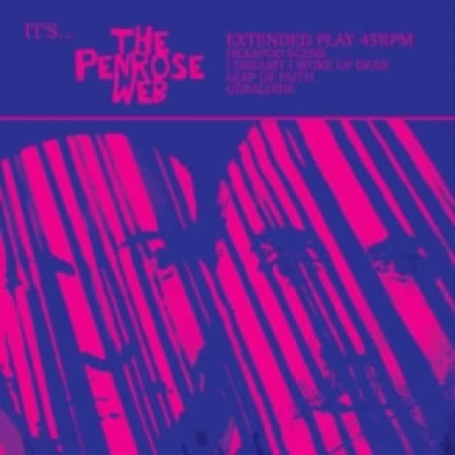 It's... The Penrose Web Vinyl