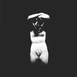 Skin by Recent Arts Vinyl Album