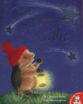 One Starry Night by M Christina Butler Paperback