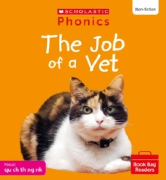 The Job of a Vet (Set 4) Paperback / softback