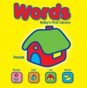 Babys First Library Words Book