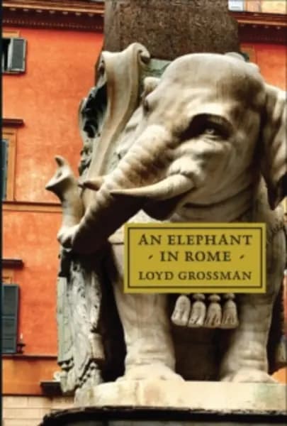elephant in rome bernini the pope and the making of the eternal city 9781843681939