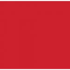 Wickes Crimson Matte Acrylic 900 x 900 3 Sided Shower Panel Kit