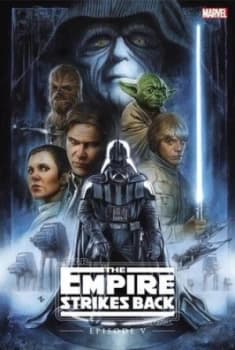 The Empire Strikes Back by Archie Goodwin Hardback